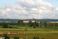 Killikus&reg; Fotographie